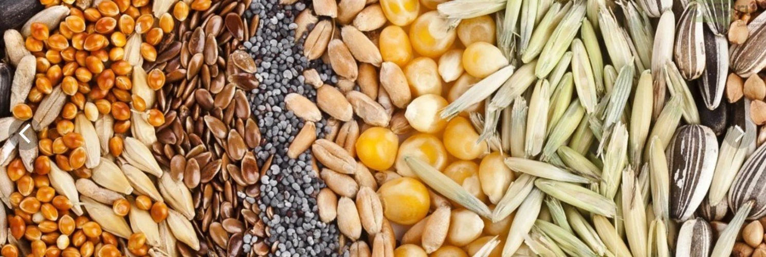 corporation2-contact-pic2